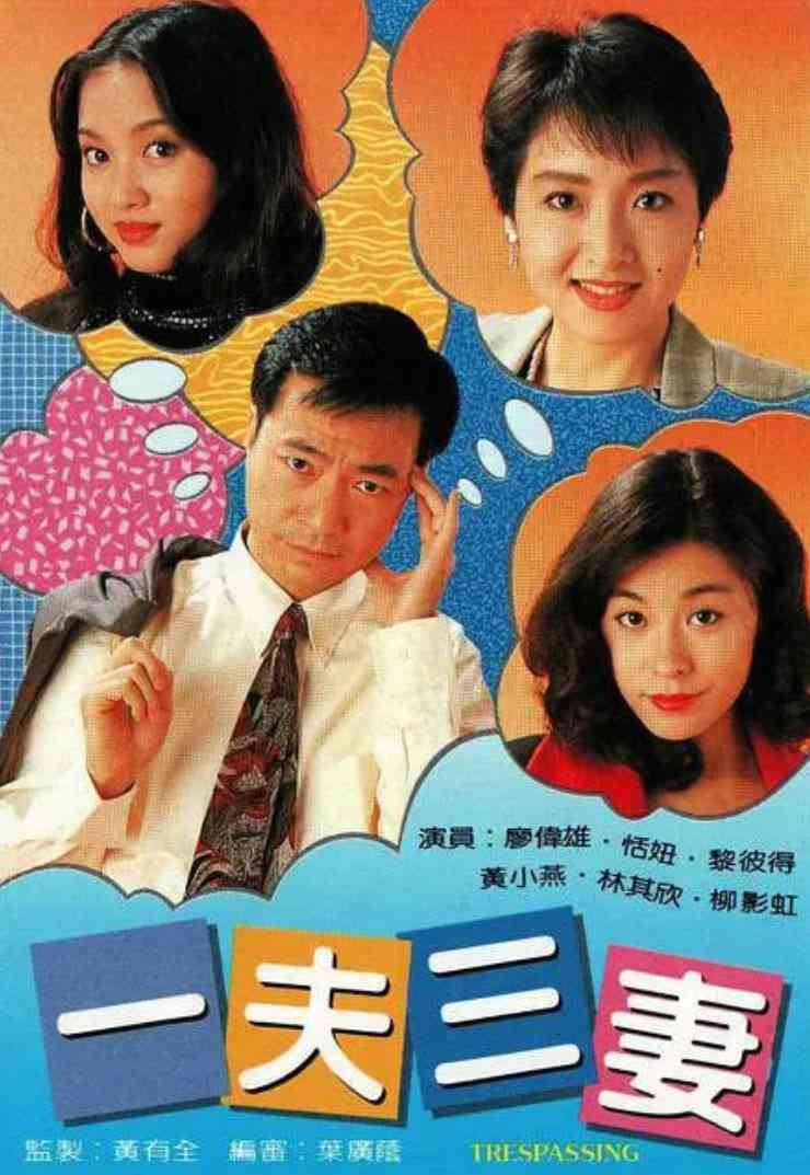 《一夫三妻》全集免费高清电视剧无广告在线播放|剧情·中国香港·1994  第1张