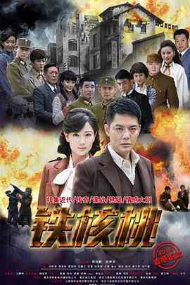 《铁核桃》全集免费高清电视剧无广告在线播放|剧情,战争·中国大陆·2015  第1张