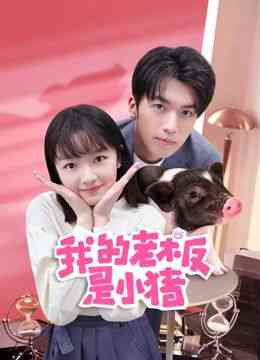 《我的老板是小猪》全集免费高清电视剧无广告在线播放|爱情,奇幻,喜剧,都市,甜宠·中国大陆·2024  第1张