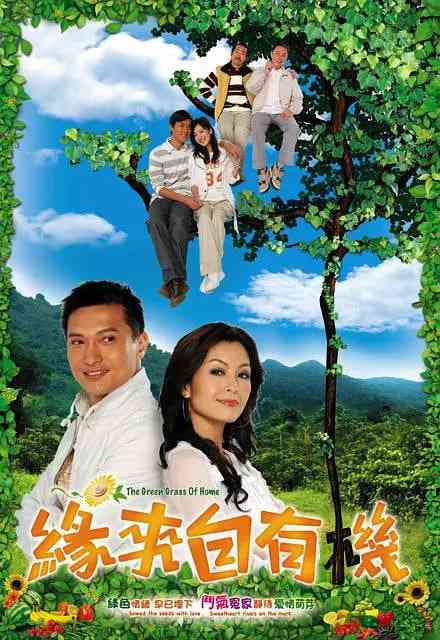 《缘来自有机》全集免费高清电视剧无广告在线播放|喜剧,爱情·中国香港·2007  第1张