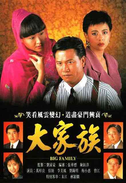 《大家族》全集免费高清电视剧无广告在线播放|剧情·中国香港·1991  第1张