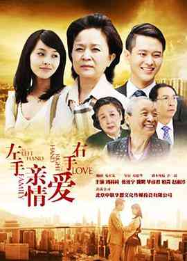 《左手亲情右手爱》全集免费高清电视剧无广告在线播放|剧情,爱情,家庭·中国大陆·2014  第1张