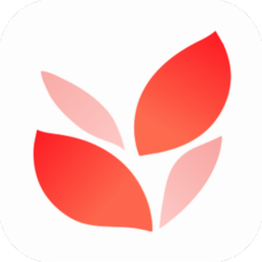 《小满壁纸官网版》软件免费下载|主题美化·1.1.3.0