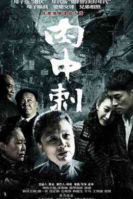 《独刺》全集免费高清电视剧无广告在线播放|剧情·中国大陆·2011  第1张