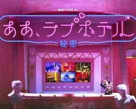 《情侣酒店～秘密～》全集免费高清电视剧无广告在线播放|日剧,剧情,爱情·日本·2023  第1张