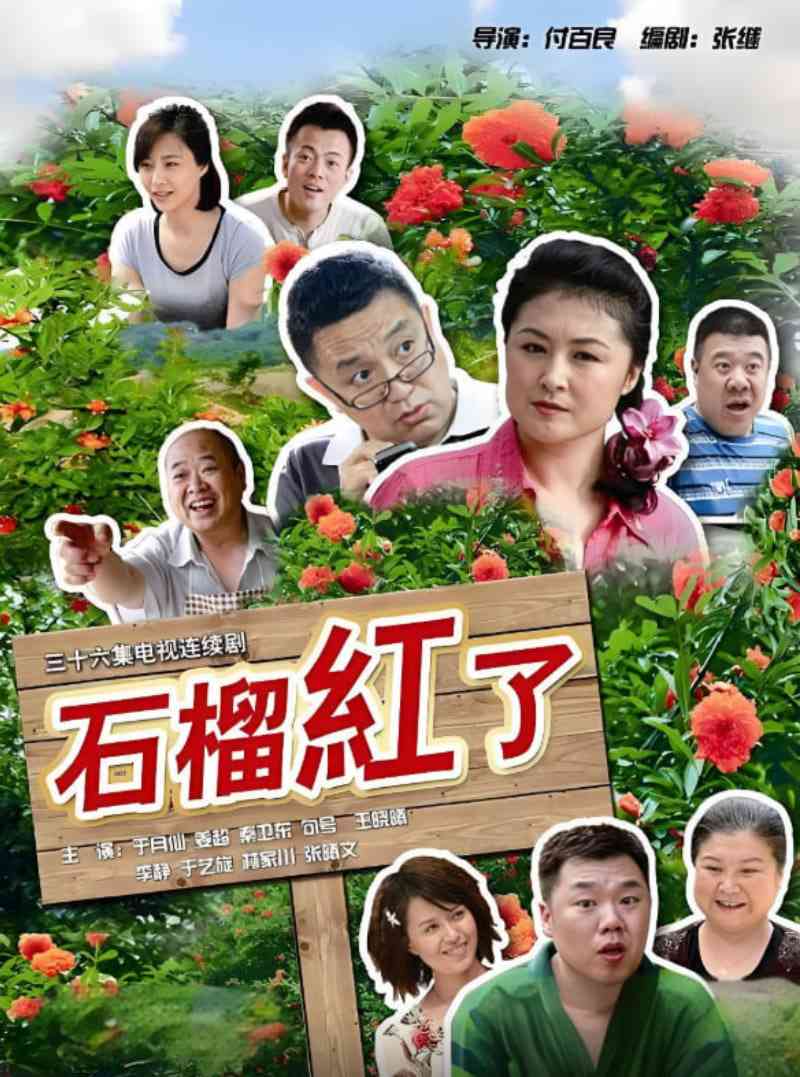 《火红的日子》全集免费高清电视剧无广告在线播放|剧情,喜剧·中国大陆·2013  第1张
