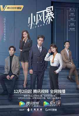 《小风暴之时间的玫瑰》全集免费高清电视剧无广告在线播放|剧情,爱情·中国大陆·2020  第1张