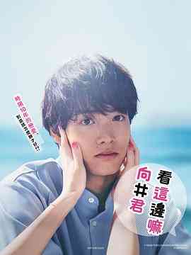 《往这边看 向井君》全集免费高清电视剧无广告在线播放|剧情,爱情,日剧·日本·2023  第1张