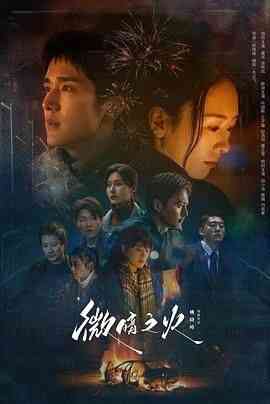 《微暗之火》全集免费高清电视剧无广告在线播放|剧情·中国大陆·2024  第1张