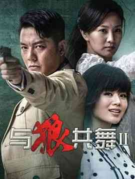 《与狼共舞2 2014》全集免费高清电视剧无广告在线播放|剧情·中国大陆·2014  第1张