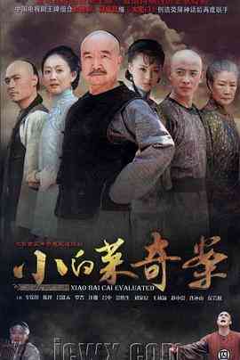 《小白菜奇案》全集免费高清电视剧无广告在线播放|历史,古装·中国大陆·2012  第1张