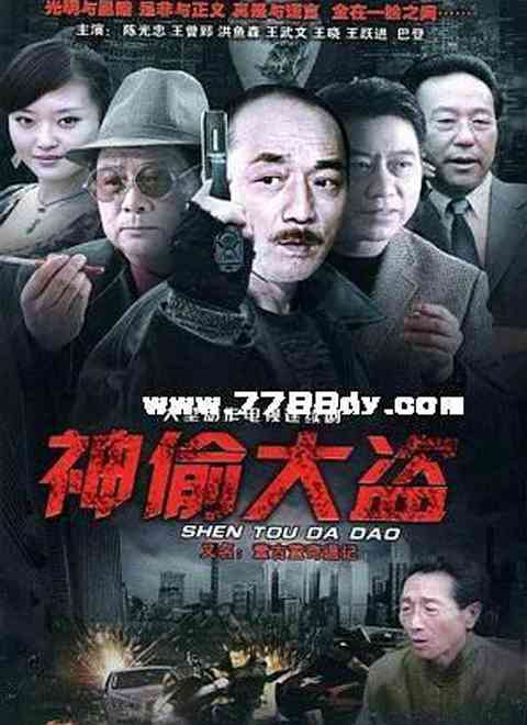 《神偷大盗》全集免费高清电视剧无广告在线播放|内地,国产·中国大陆·2011  第1张