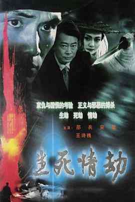 《生死情劫》全集免费高清电视剧无广告在线播放|剧情·中国大陆·2003  第1张