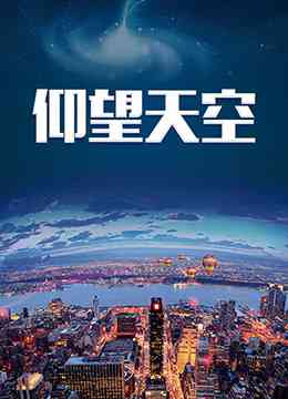 《仰望天空》全集免费高清电视剧无广告在线播放|内地,国产·大陆·2009  第1张