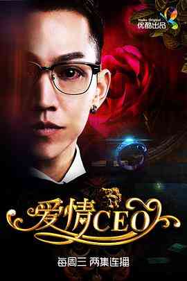 《爱情CEO》全集免费高清电视剧无广告在线播放|剧情,喜剧,爱情·中国大陆·2015  第1张