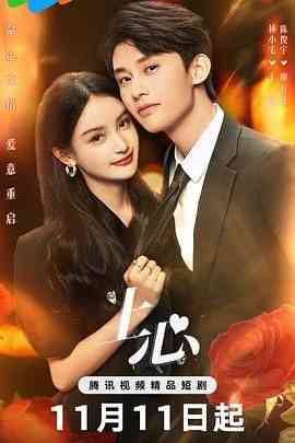 《上心》全集免费高清电视剧无广告在线播放|爱情,奇幻·中国大陆·2024  第1张