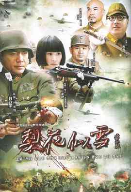 《梨花似雪》全集免费高清电视剧无广告在线播放|剧情·中国大陆·2010  第1张