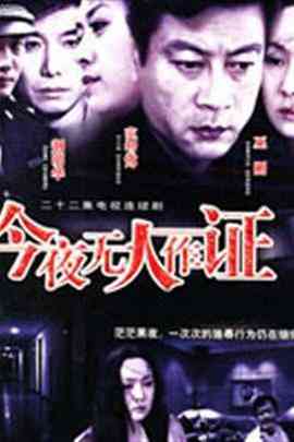 《今夜无人作证》全集免费高清电视剧无广告在线播放|内地,国产·中国大陆·2004  第1张