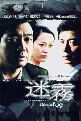 《迷雾》全集免费高清电视剧无广告在线播放|剧情,悬疑·中国大陆·2007  第1张