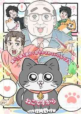 《转生成猫的大叔》全集免费高清动漫无广告在线播放|动画,日本动漫·日本·2024  第1张
