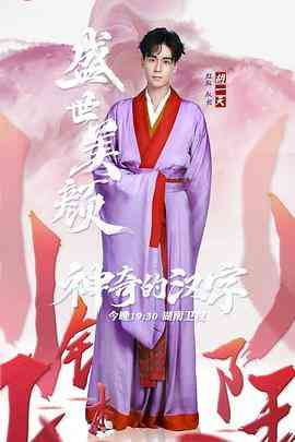 《神奇的汉字》全集免费高清综艺无广告在线播放|综艺·中国大陆·2019  第1张