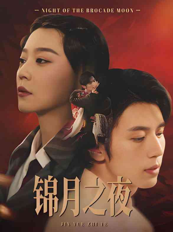 《锦月之夜》全集免费高清短剧无广告在线播放|短剧·中国大陆·2025  第1张