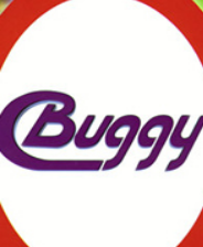 《Buggy》英文免安装版》游戏免费下载|赛车游戏·竞速·汽车模拟·驾驶  第1张