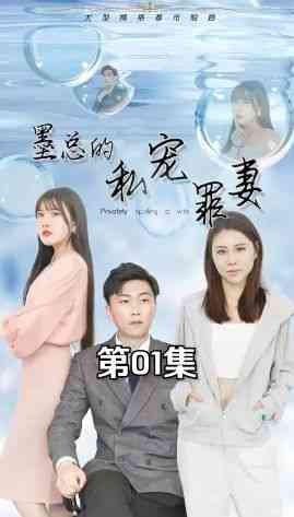 《墨总的私宠罪妻》全集免费高清短剧无广告在线播放|短剧·中国大陆·2024  第1张