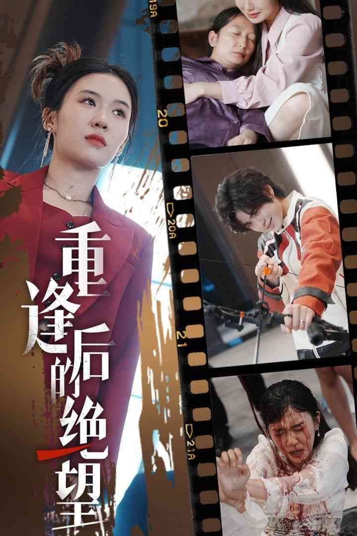 《重逢后的绝望》全集免费高清短剧无广告在线播放|短剧·中国大陆·2024  第1张