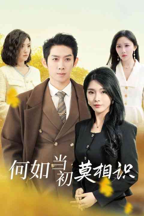 《何如当初莫相识》全集免费高清短剧无广告在线播放|短剧·中国大陆·2024