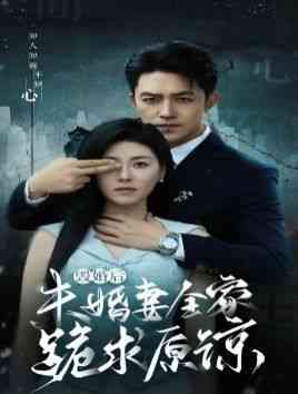 《毁婚后未婚妻全家跪求原谅》全集免费高清短剧无广告在线播放|短剧·中国大陆·2024  第1张