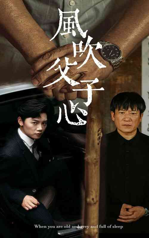 《风吹父子心》全集免费高清短剧无广告在线播放|短剧·中国大陆·2024  第1张