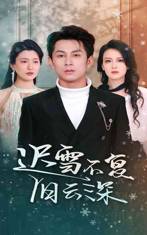 《迟雪不复旧云深》全集免费高清短剧无广告在线播放|短剧·中国大陆·2025  第1张