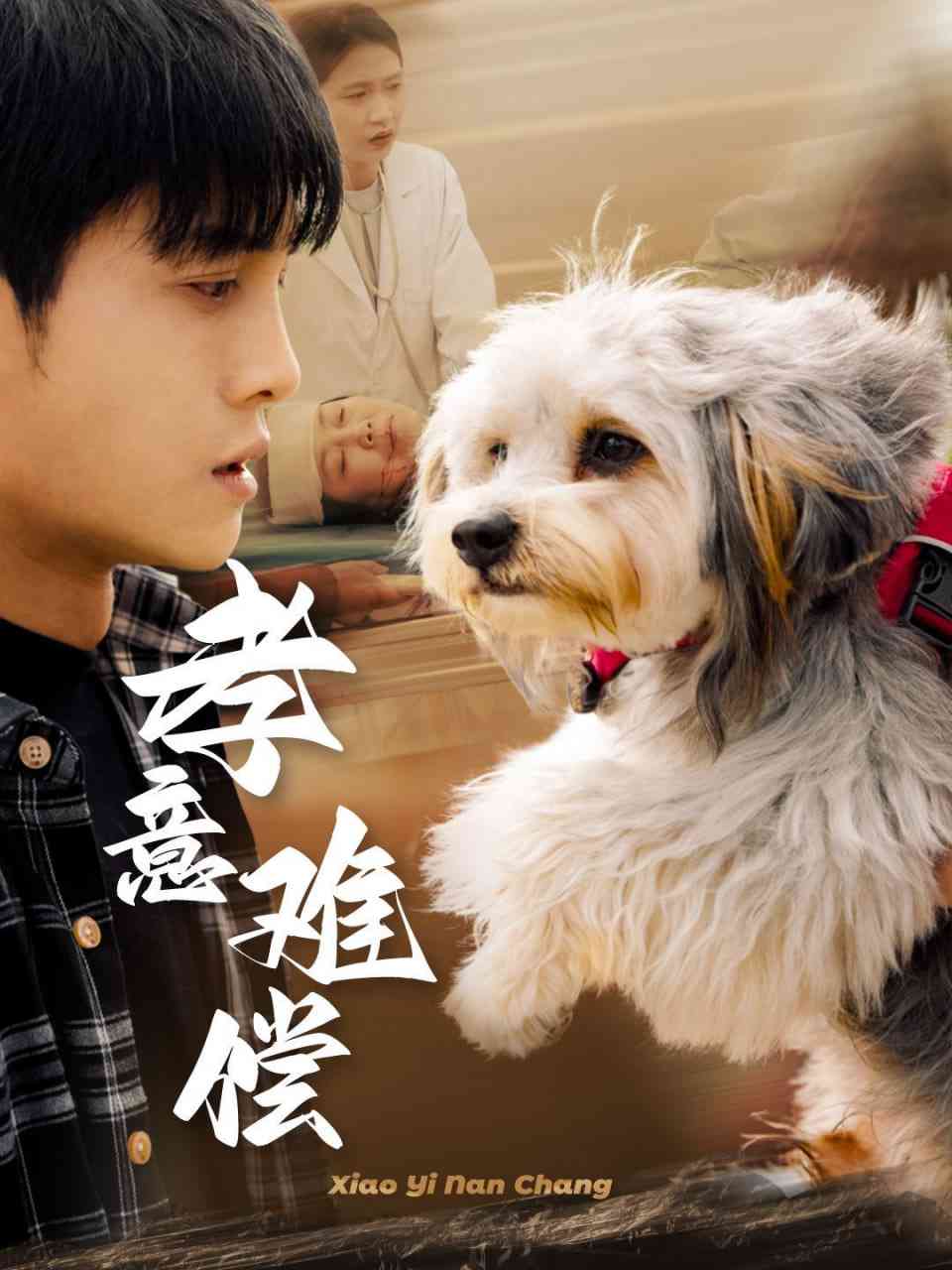 《孝意难偿》全集免费高清短剧无广告在线播放|短剧·中国大陆·2025  第1张