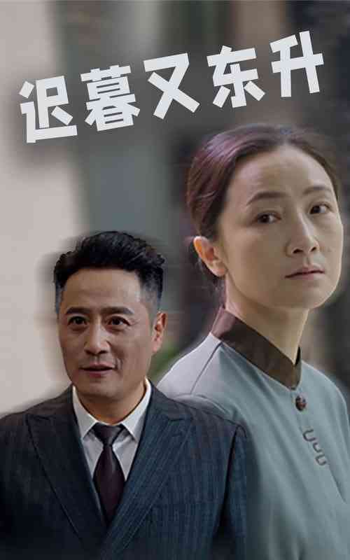 《迟暮又东升》全集免费高清短剧无广告在线播放|短剧·中国大陆·2025  第1张