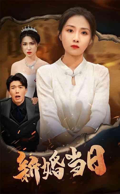 《新婚当日》全集免费高清短剧无广告在线播放|短剧·中国大陆·2025  第1张