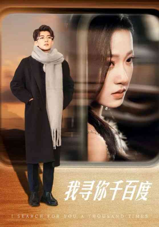 《我寻你千百度》全集免费高清短剧无广告在线播放|短剧·中国大陆·2025  第1张