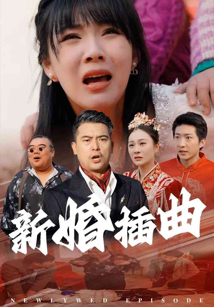 《新婚插曲》全集免费高清短剧无广告在线播放|短剧·中国大陆·2025  第1张