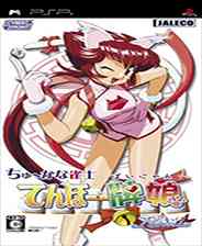 《中华雀士：天和牌娘Remix》 日版NDS版》游戏免费下载|桌面棋牌·麻将  第1张