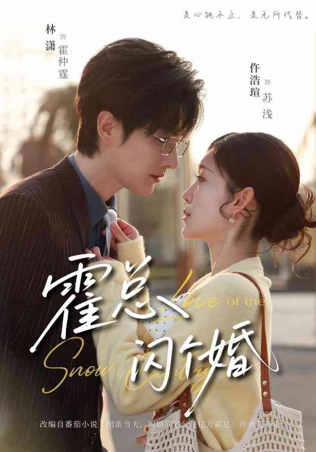 《霍总闪个婚》全集免费高清短剧无广告在线播放|短剧·中国大陆·2025  第1张