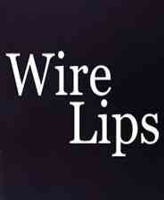 《Wire Lips》英文免安装版》游戏免费下载|冒险游戏·恐怖·探险·血腥·独立  第1张