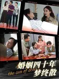 《婚姻四十年梦终散》全集免费高清短剧无广告在线播放|短剧·中国大陆·2025  第1张