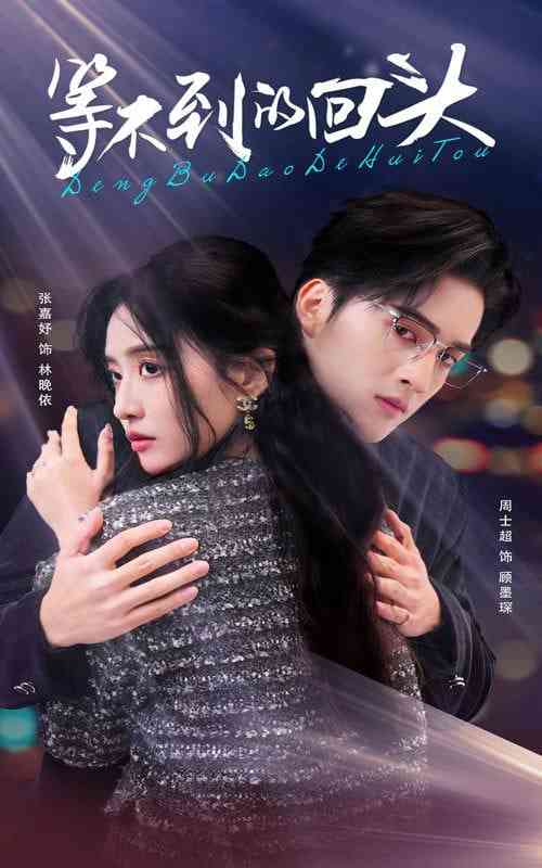 《等不到的回头》全集免费高清短剧无广告在线播放|短剧·中国大陆·2025  第1张