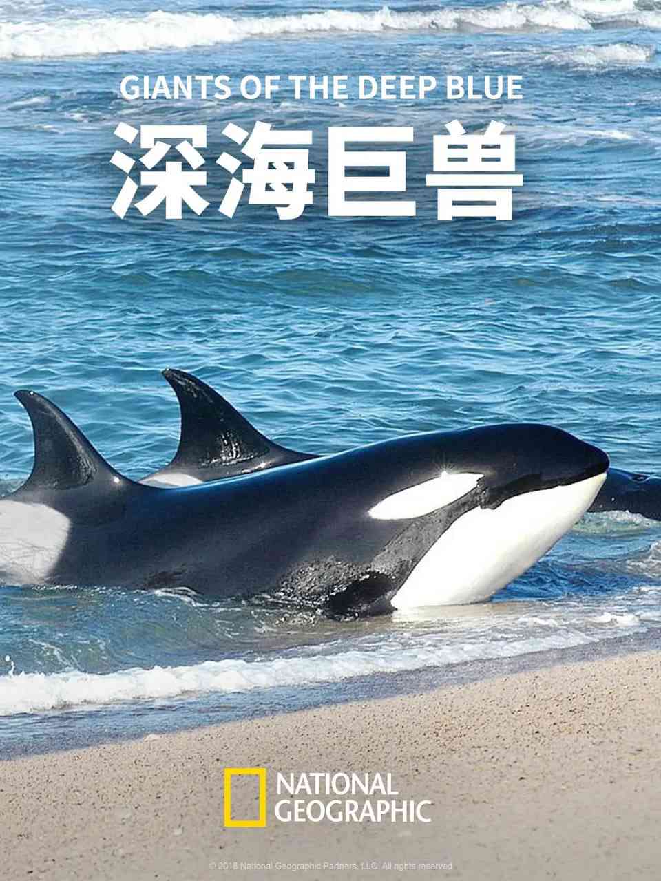 《深海巨兽》最新免费高清电影无广告在线播放|纪录片·美国·2018  第1张