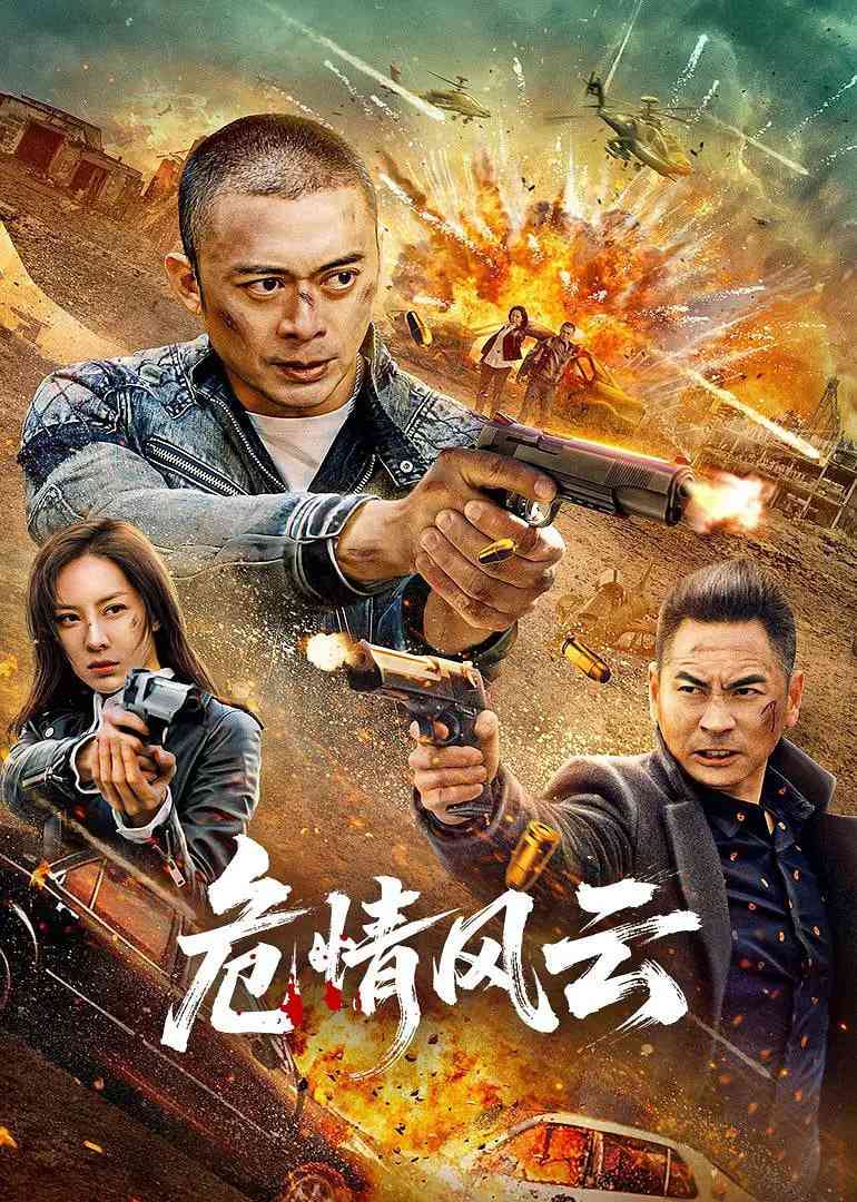 《危情风云》最新免费高清电影无广告在线播放|剧情,动作,犯罪·中国大陆·2025  第1张