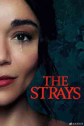 《流浪者TheStrays》最新免费高清电影无广告在线播放|剧情,惊悚·英国·2023  第1张