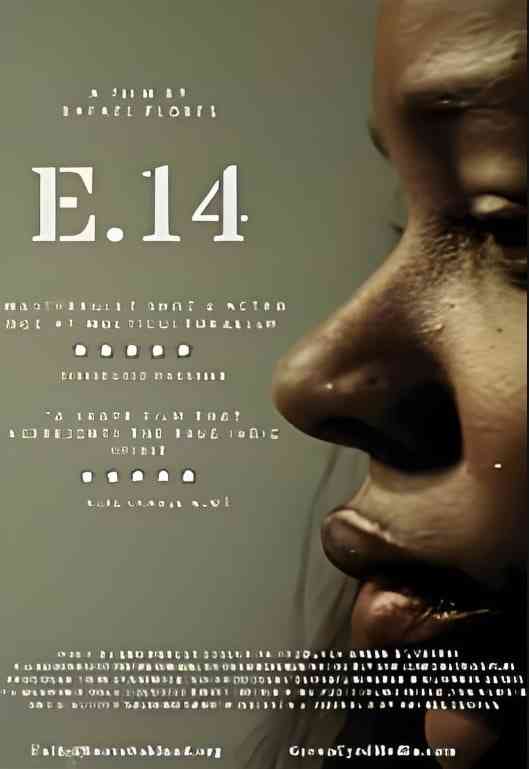 《E.14》最新免费高清电影无广告在线播放|戏剧·美国·2020  第1张