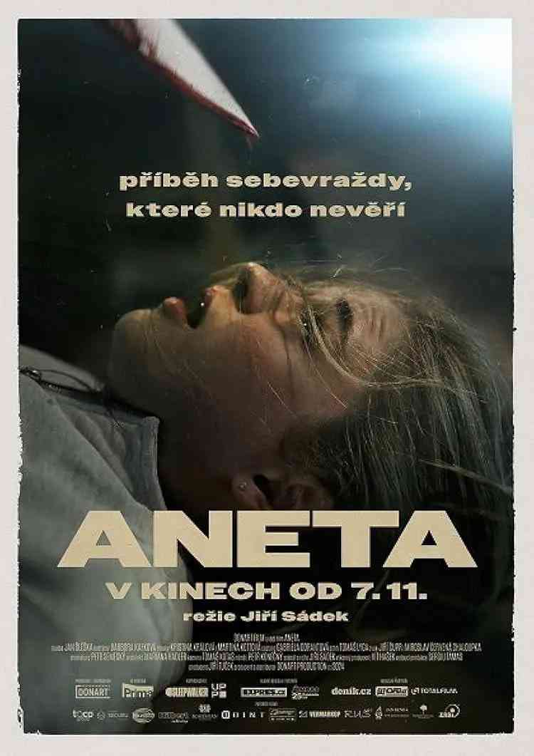 《Aneta》最新免费高清电影无广告在线播放|动作·捷克·2024  第1张