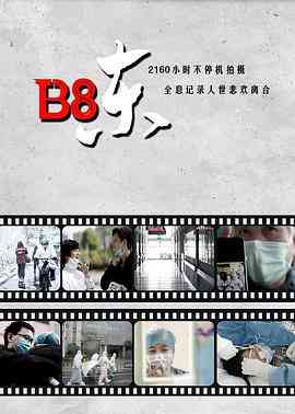 《B8东》最新免费高清电影无广告在线播放|纪录·中国大陆·2020  第1张