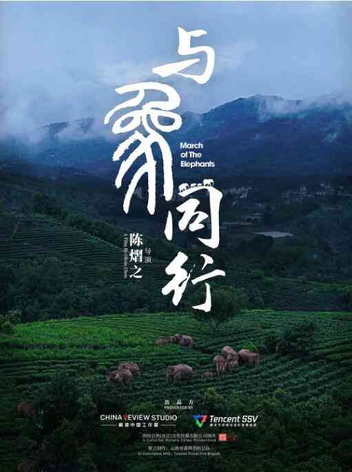 《与象同行》最新免费高清电影无广告在线播放|纪录片,纪录·中国大陆·2022  第1张
